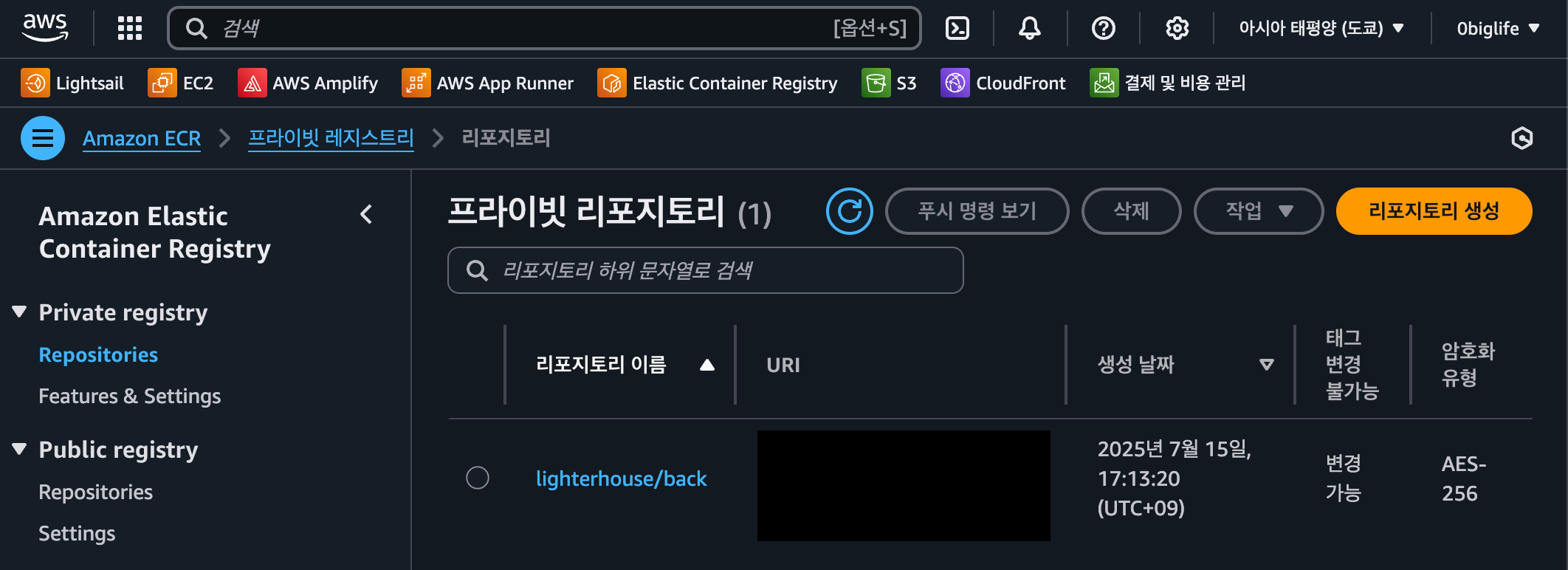 Elastic Contaienr Registry